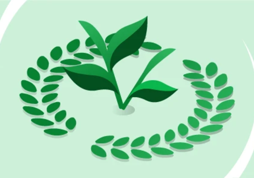 Energía verde, la energía del momento 