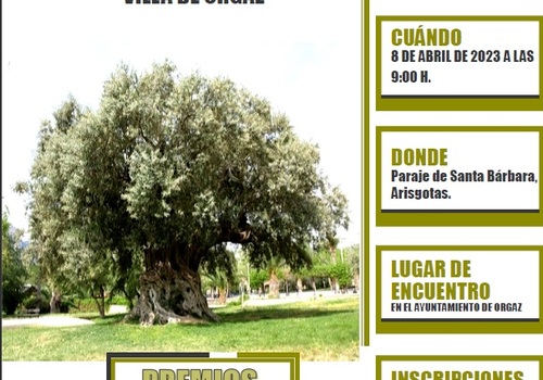 VII CONCURSO DE PODA 