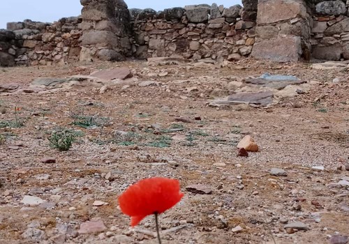PRIMAVERA EN LOS HITOS