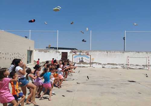 CAMPAMENTO URBANO ORGAZ 