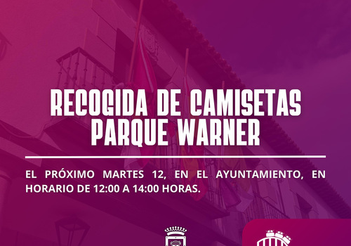 RECOGIDA CAMISETAS WARNER
