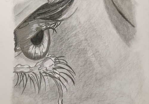 PRIMEROS TRABAJOS DEL TALLER DE PINTURA 