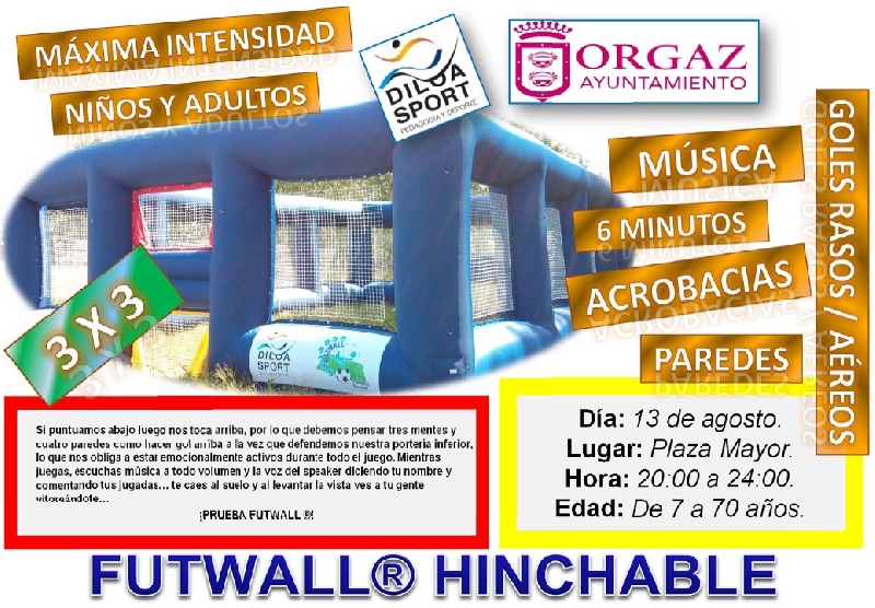 FUTWALL  HINCHABLE 