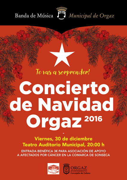 Concierto de Navidad Banda de Musica