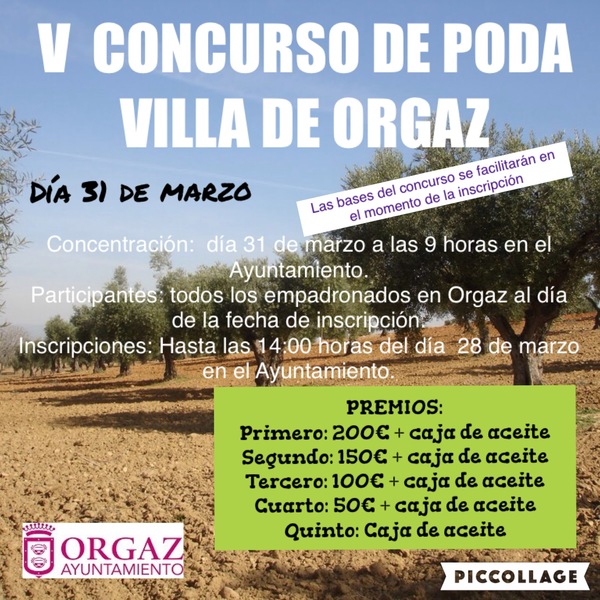  V Concurso de Poda