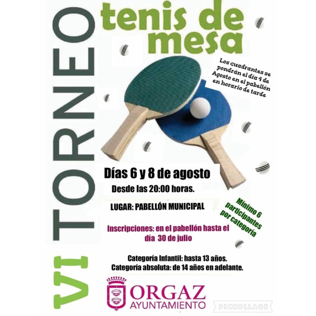 VI TORNEO DE TENIS DE MESA 