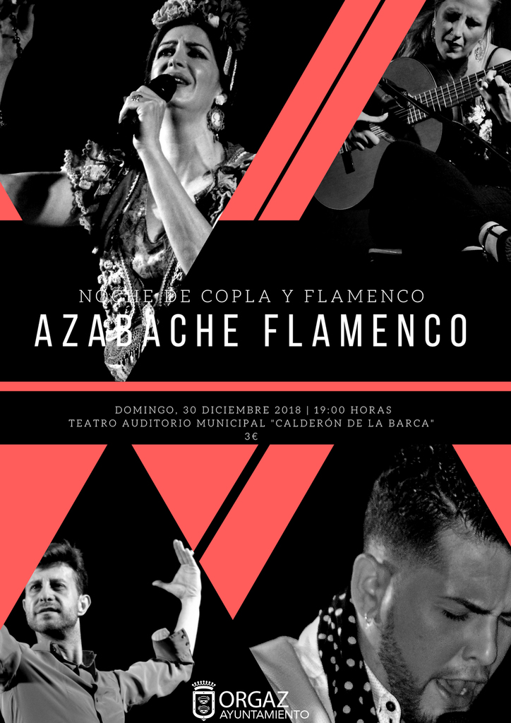 Noche de Copla y Flamenco 