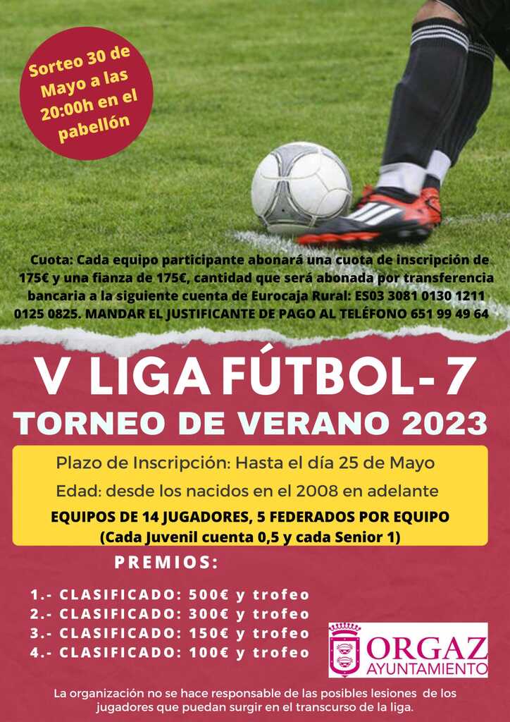 LIGA DE VERANO FUTBOL-7