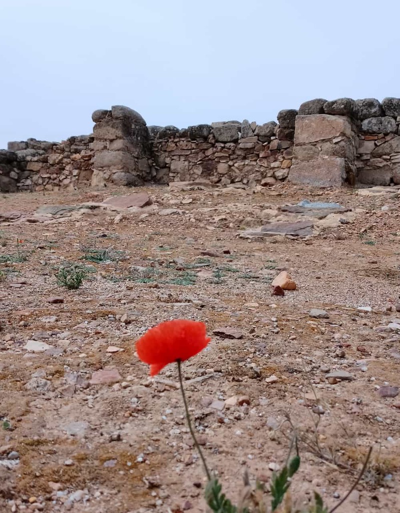 PRIMAVERA EN LOS HITOS