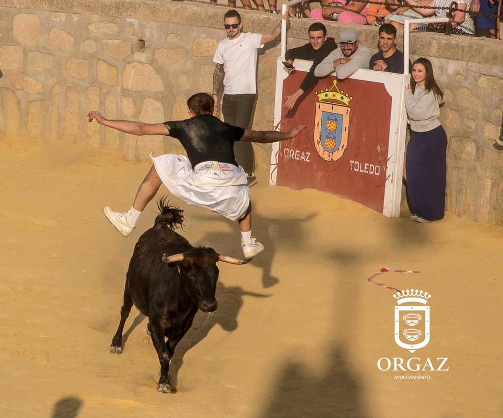 TRADICIONAL ENCIERRO 