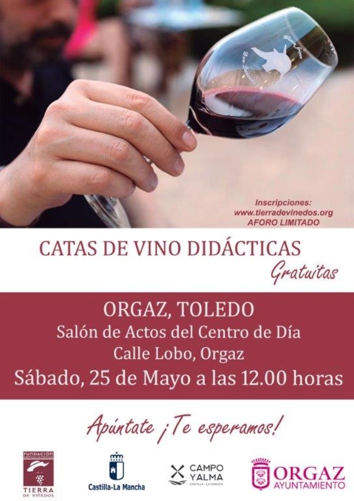 CATA DE VINOS DIDÁCTICA FDP