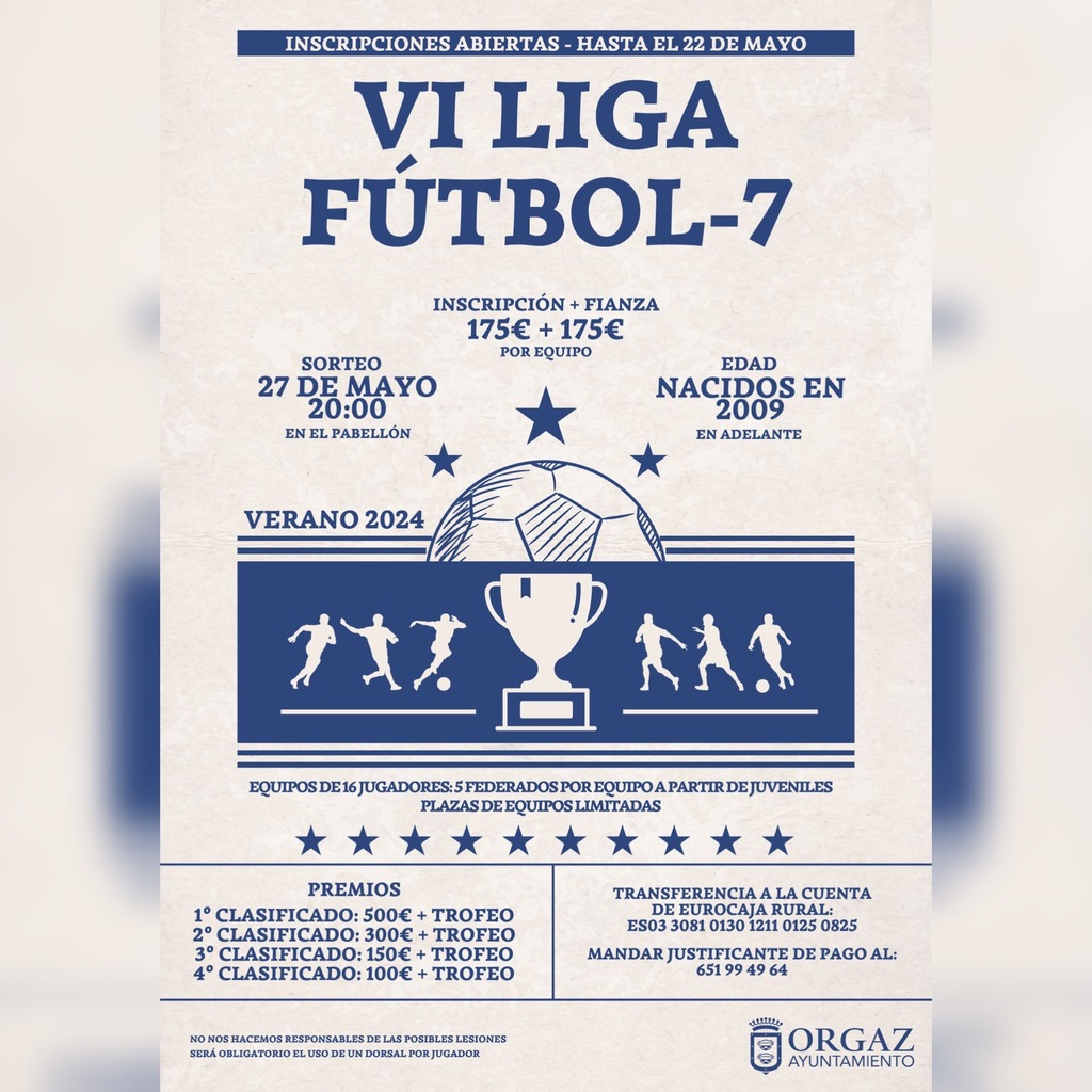VI LIGA DE FÚTBOL 7