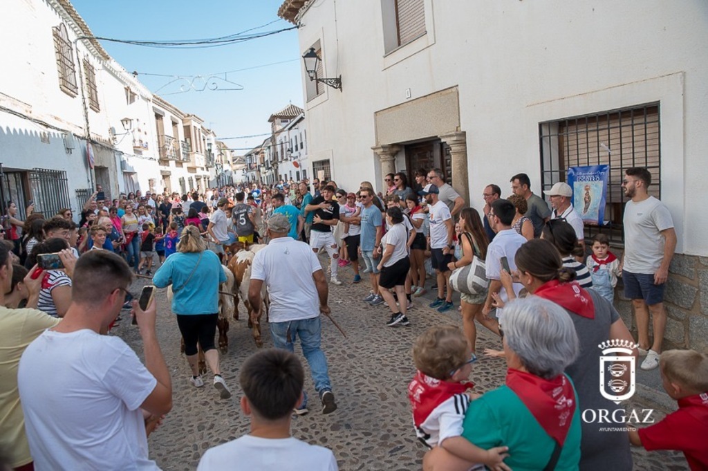 BUEYADA INFANTIL 
