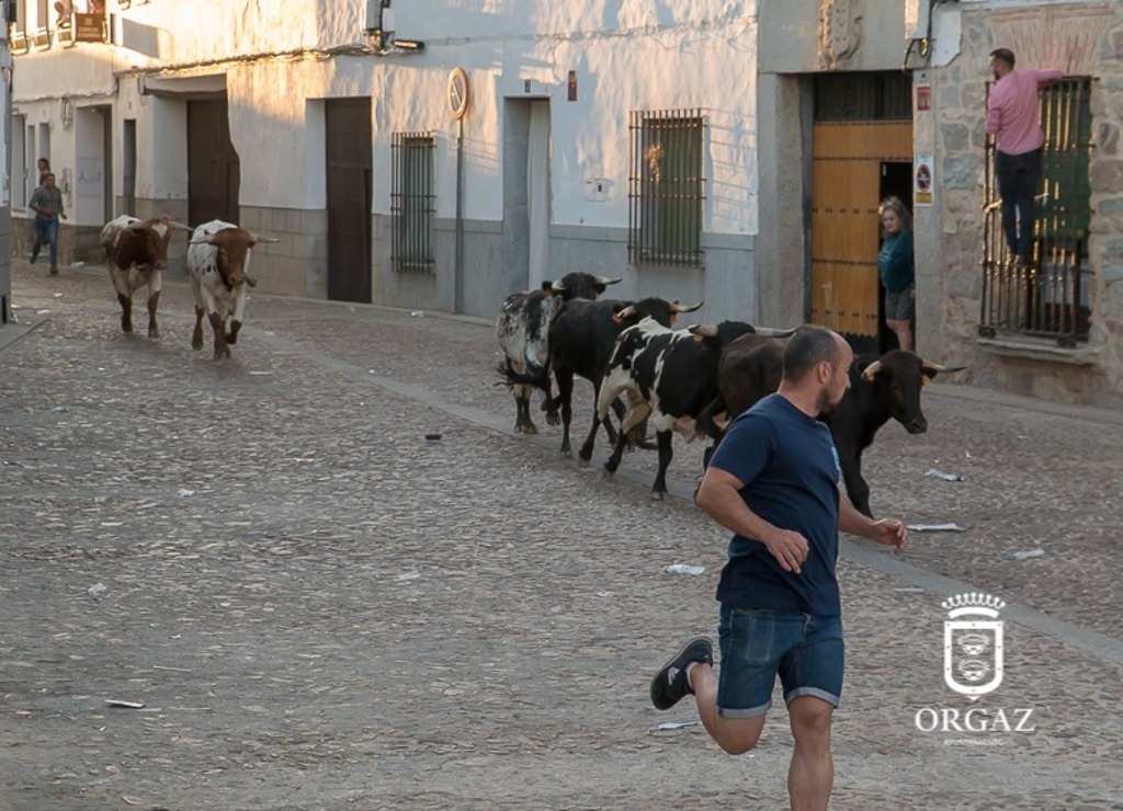 ENCIERRO POR LAS CALLES DE ORGAZ