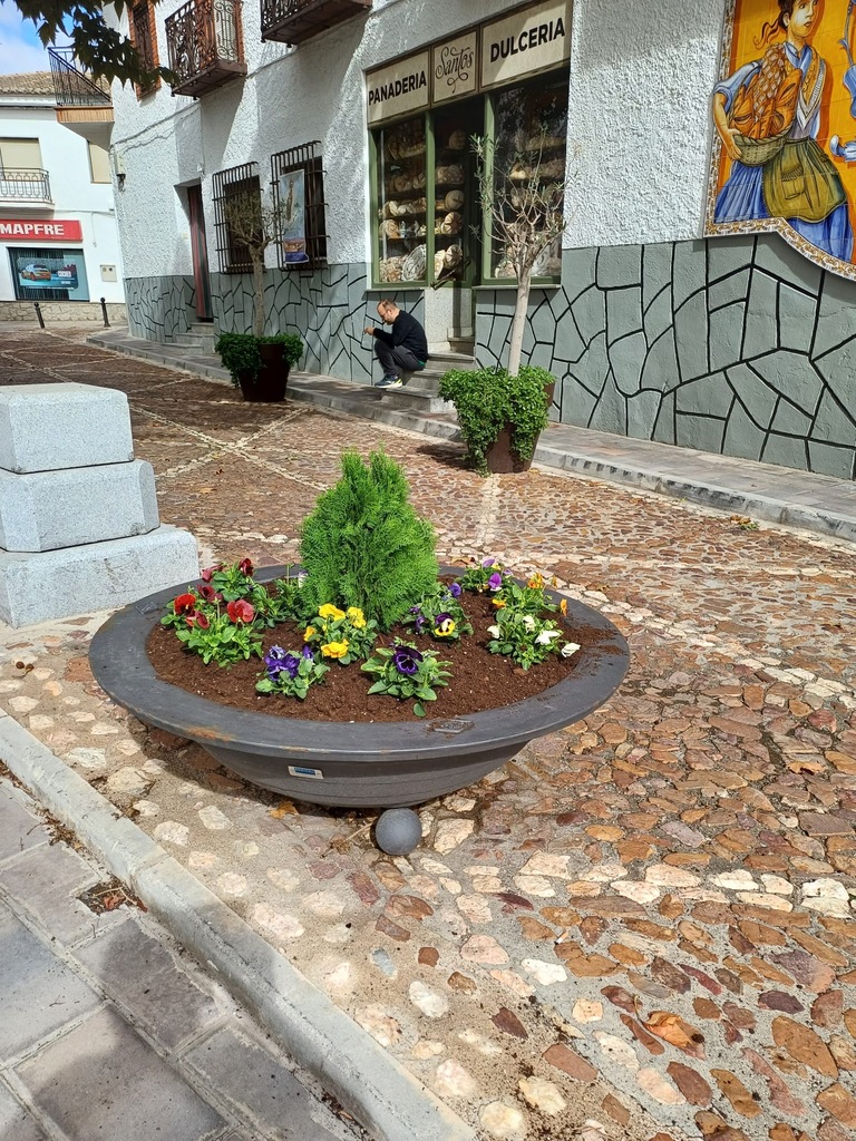 JARDINERAS REPOBLADAS