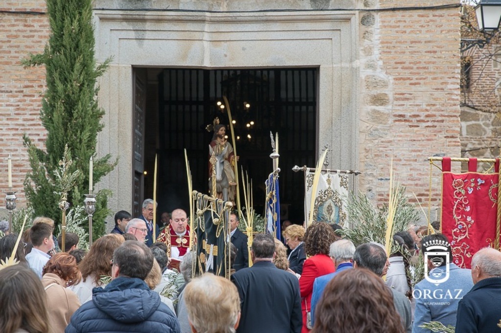 DOMINGO DE RAMOS EN ORGAZ 