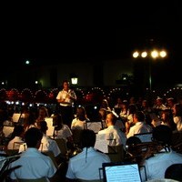 BANDA DE MUSICA. FERIA 2010