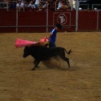 FERIA 2008. BECERRADA LOCAL