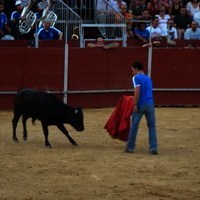 FERIA 2008. BECERRADA LOCAL