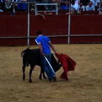 FERIA 2008. BECERRADA LOCAL