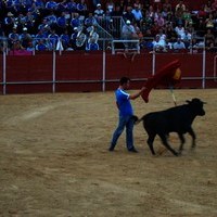 FERIA 2008. BECERRADA LOCAL