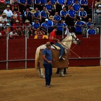 FERIA 2008. BECERRADA LOCAL