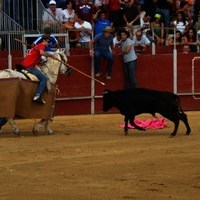 FERIA 2008. BECERRADA LOCAL