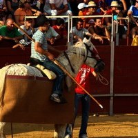 FERIA 2008. BECERRADA LOCAL