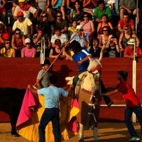 FERIA 2008. BECERRADA LOCAL