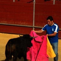 FERIA 2008. BECERRADA LOCAL