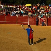 FERIA 2008. BECERRADA LOCAL