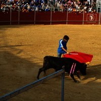 FERIA 2008. BECERRADA LOCAL