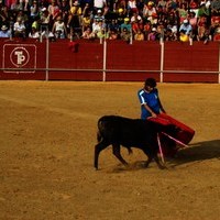 FERIA 2008. BECERRADA LOCAL