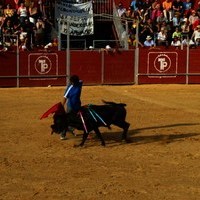 FERIA 2008. BECERRADA LOCAL