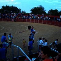 FERIA 2008. BECERRADA LOCAL