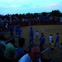 FERIA 2008. BECERRADA LOCAL