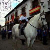 FERIA 2008. BECERRADA LOCAL