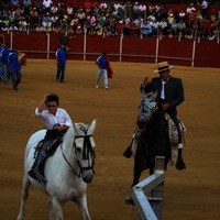 FERIA 2008. BECERRADA LOCAL