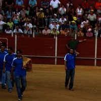 FERIA 2008. BECERRADA LOCAL