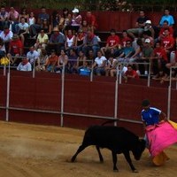 FERIA 2008. BECERRADA LOCAL