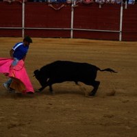 FERIA 2008. BECERRADA LOCAL