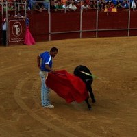 FERIA 2008. BECERRADA LOCAL