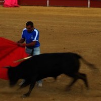 FERIA 2008. BECERRADA LOCAL