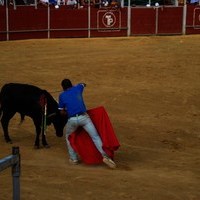 FERIA 2008. BECERRADA LOCAL