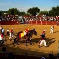 FERIA 2008. BECERRADA LOCAL