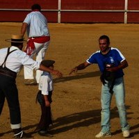 FERIA 2008. BECERRADA LOCAL