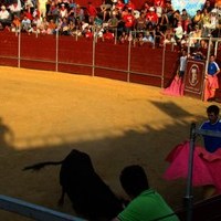 FERIA 2008. BECERRADA LOCAL