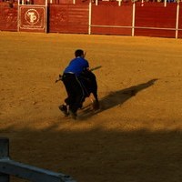 FERIA 2008. BECERRADA LOCAL