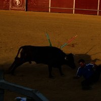 FERIA 2008. BECERRADA LOCAL