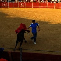 FERIA 2008. BECERRADA LOCAL